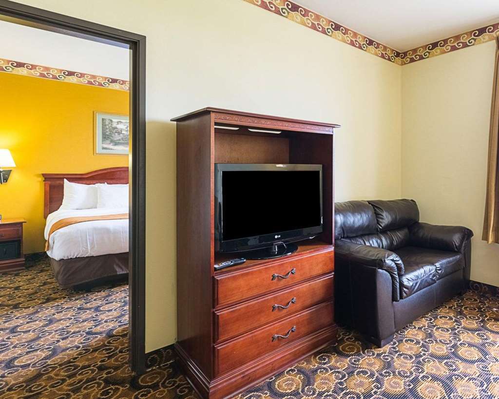 Comfort Suites Near Texas Medical Center - Nrg Stadium Houston Cameră foto