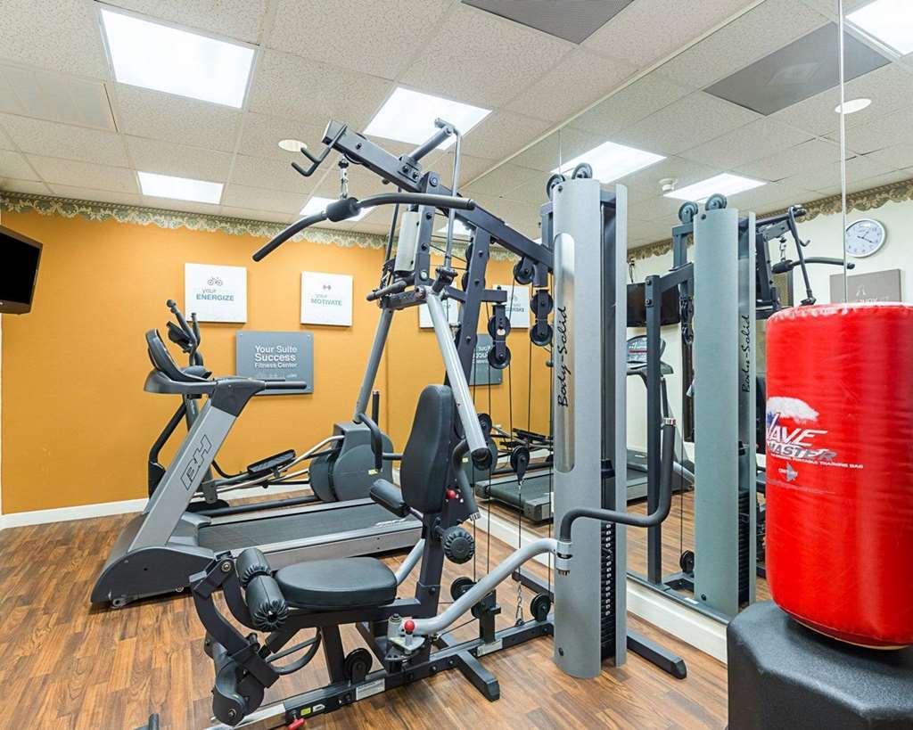 Comfort Suites Near Texas Medical Center - Nrg Stadium Houston Facilități foto